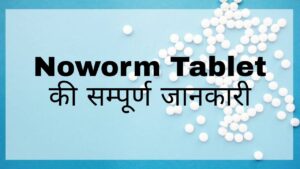 Noworm Tablet Hindi